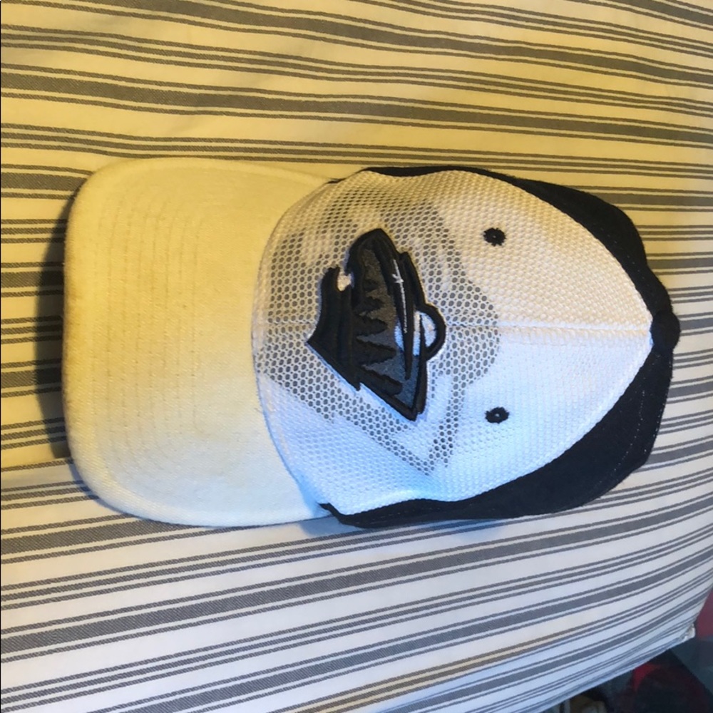 Minnesota Wild hat